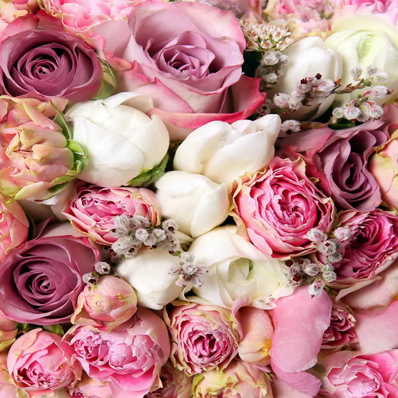 Pillow_Cover_Backdrops_Light_Pink_Roses-pob-backdrops