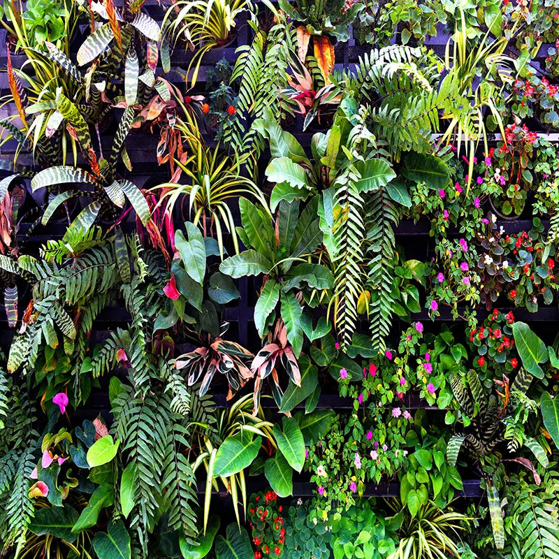Pillow_Cover_Backdrops_Lush_Green_Wall-pob-backdrops