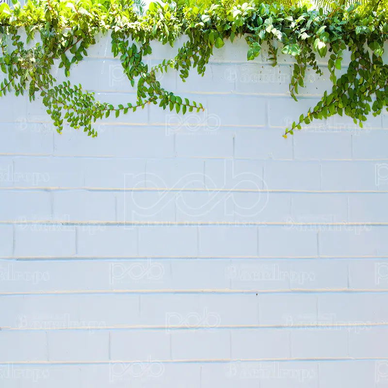 Pillow_Cover_Backdrops_Masonry_Leafy_Border-pob-backdrops