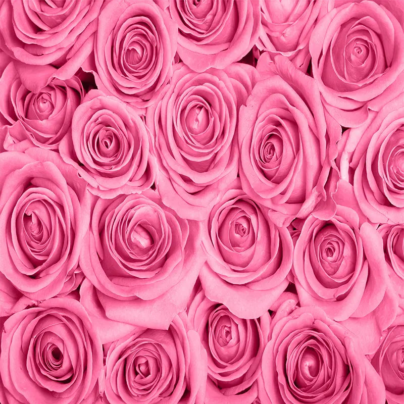 Pillow_Cover_Backdrops_Pink_Roses-pob-backdrops
