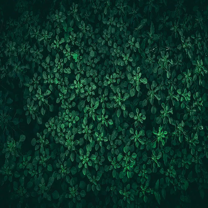 Pillow_Cover_Backdrops_Rich_Greenery-pob-backdrops