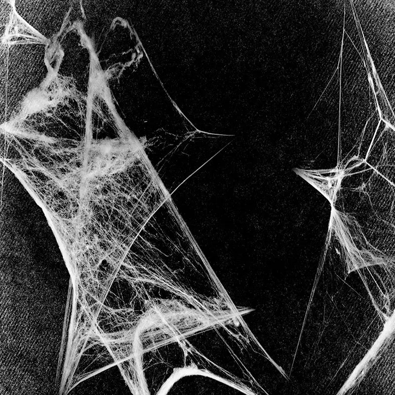 Pillow_Cover_Backdrops_Spiderweb-pob-backdrops