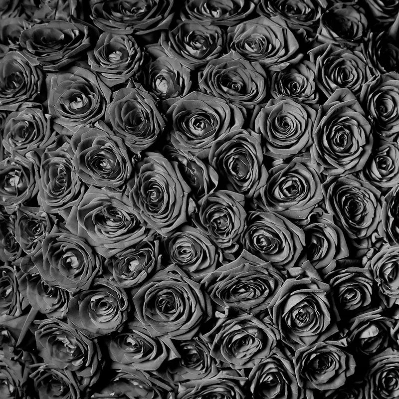 Pillow_Cover_Backdrops_midnight_rose_wall-pob-backdrops