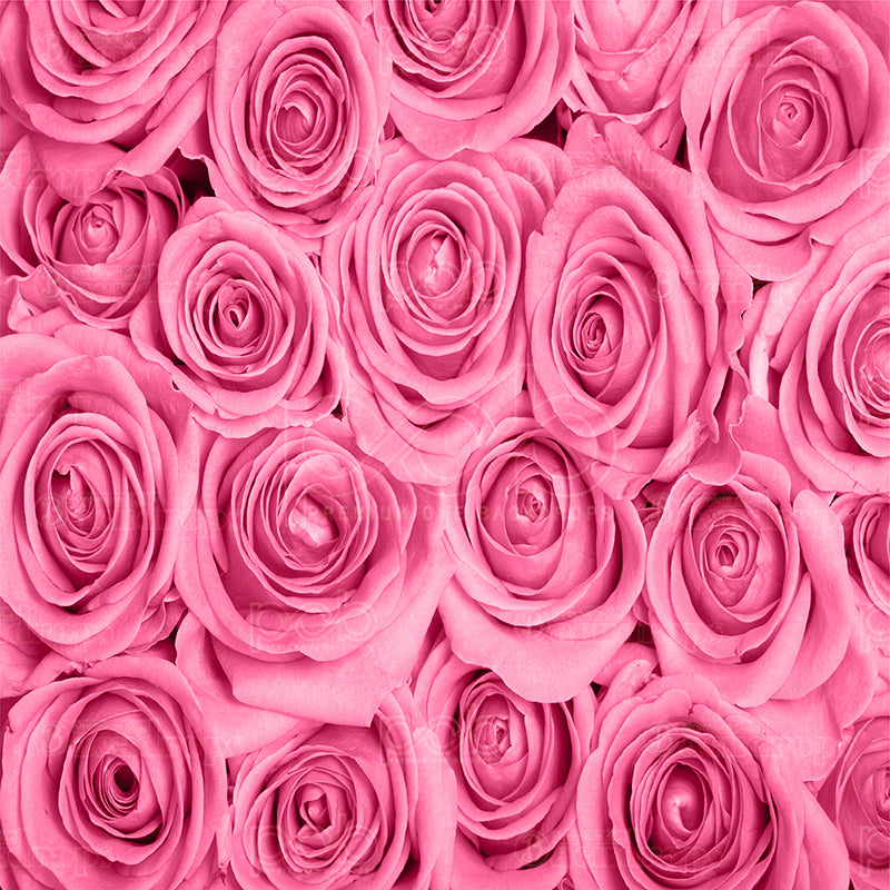 premium one pillowcover backdrops-Pink Roses