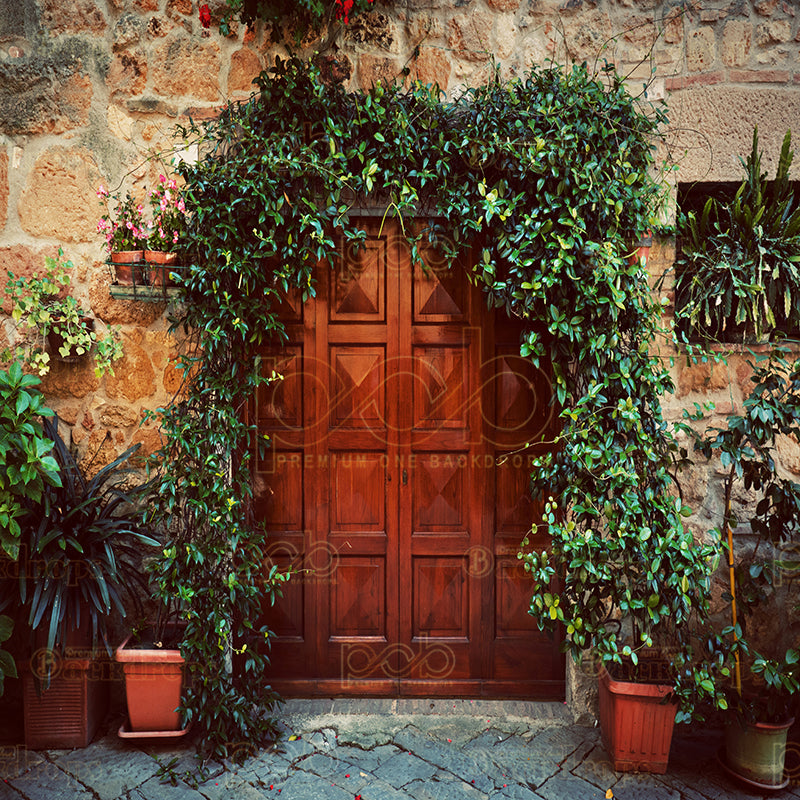 Pillow Cover Backdrop(Retro wooden door)