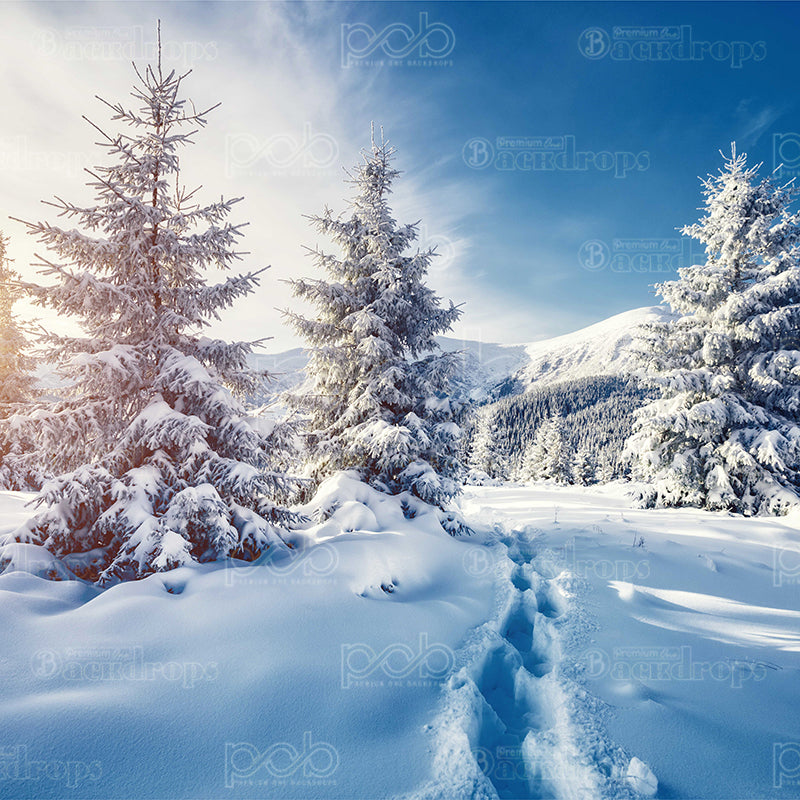 premium one pillowcover backdrops-Snow trail