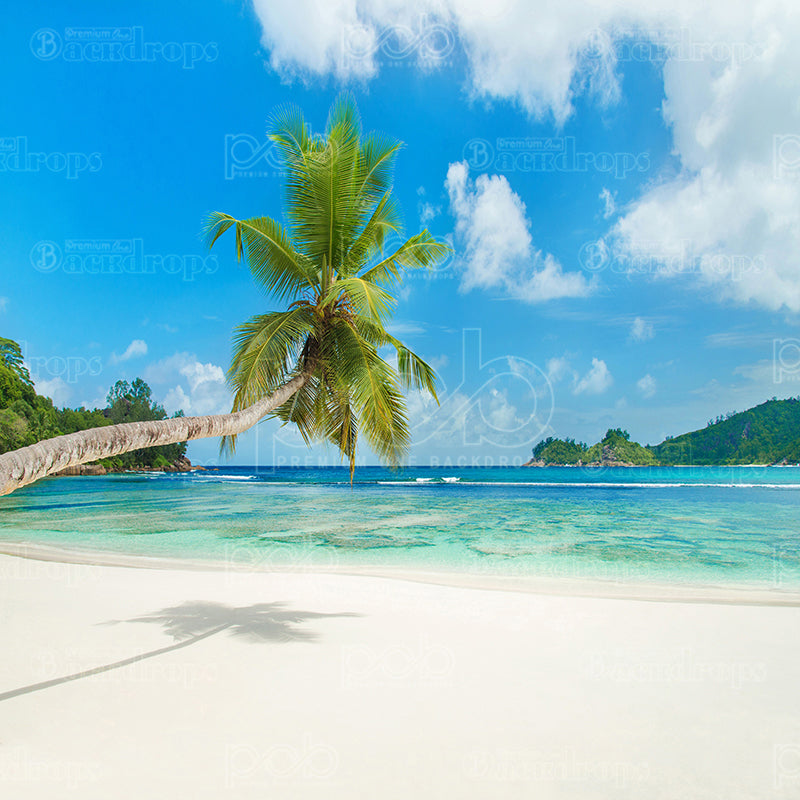 premium one pillowcover backdrops-Tropical Paradise