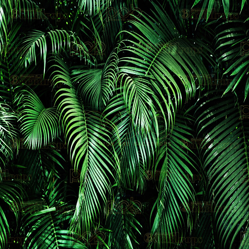 premium one pillowcover backdrops-Tropical palms