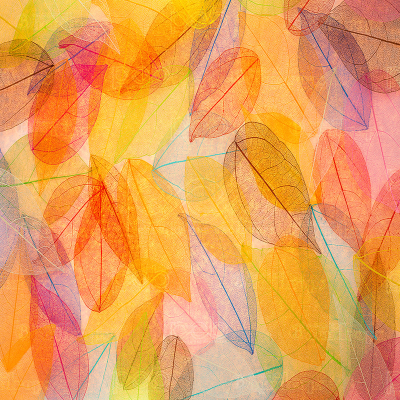 premium one pillowcover backdrops-Vibrant Color Leaves