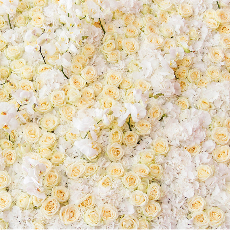 premium one pillowcover backdrops-White And Peach Roses