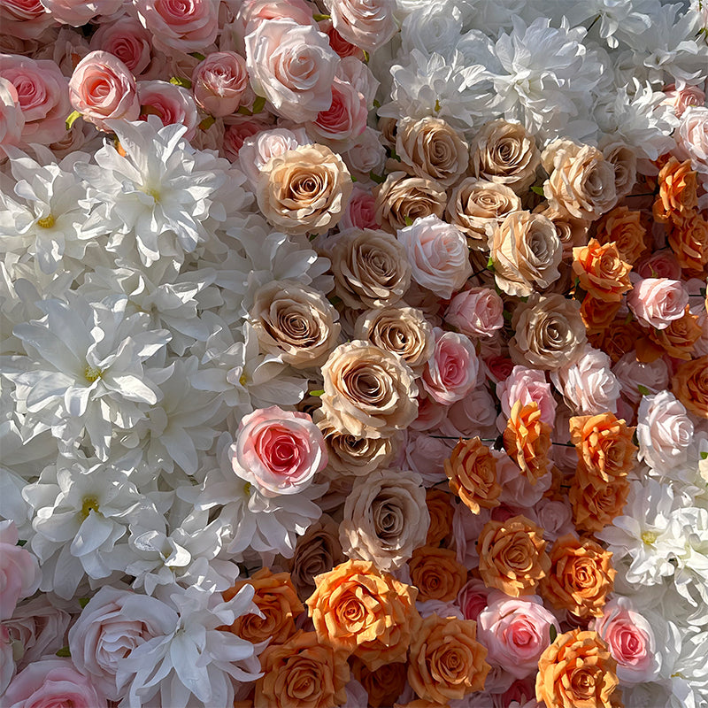 White Orange Roses Flower Wall