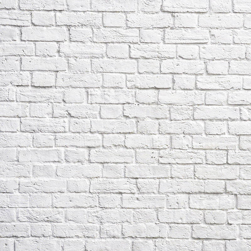 premium one pillowcover backdrops-White brick wall