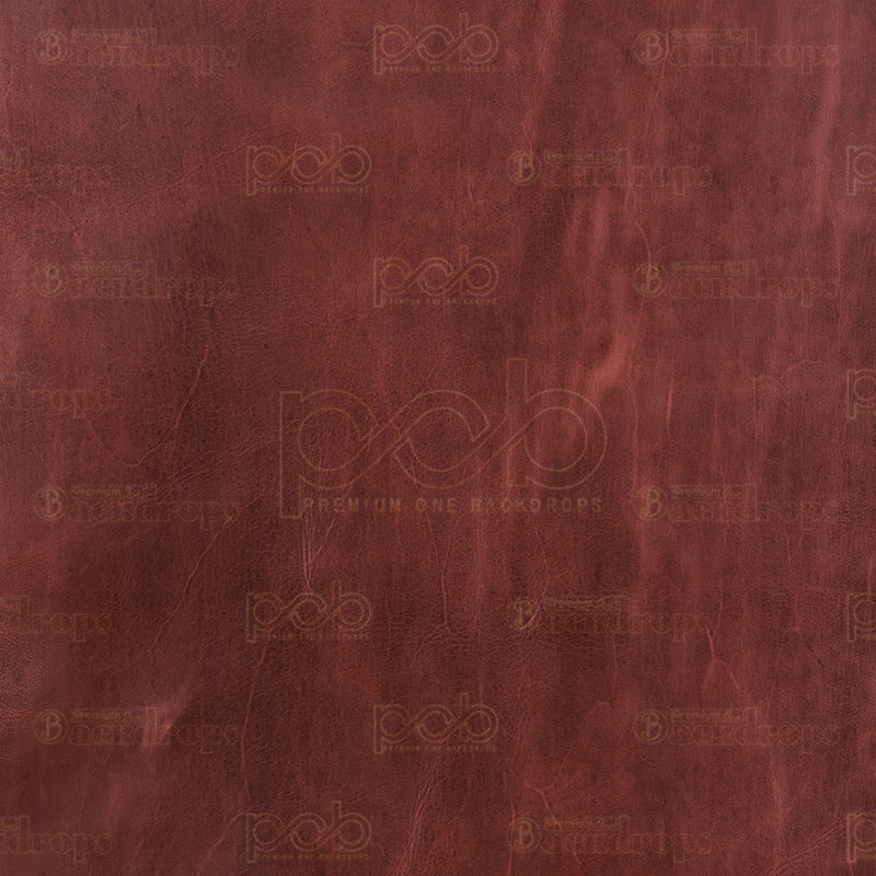 Pillow Cover Backdrop(Wine Red Riddle)