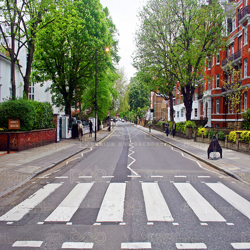 premium one pillowcover backdrops-abby road