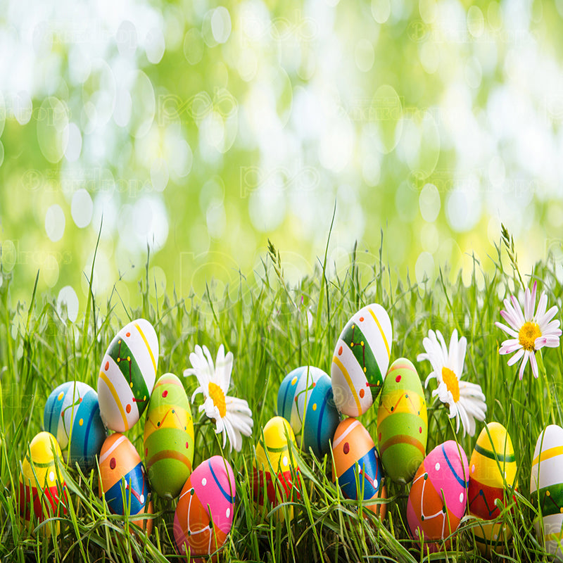 premium one pillowcover backdrops-easter egg hunt