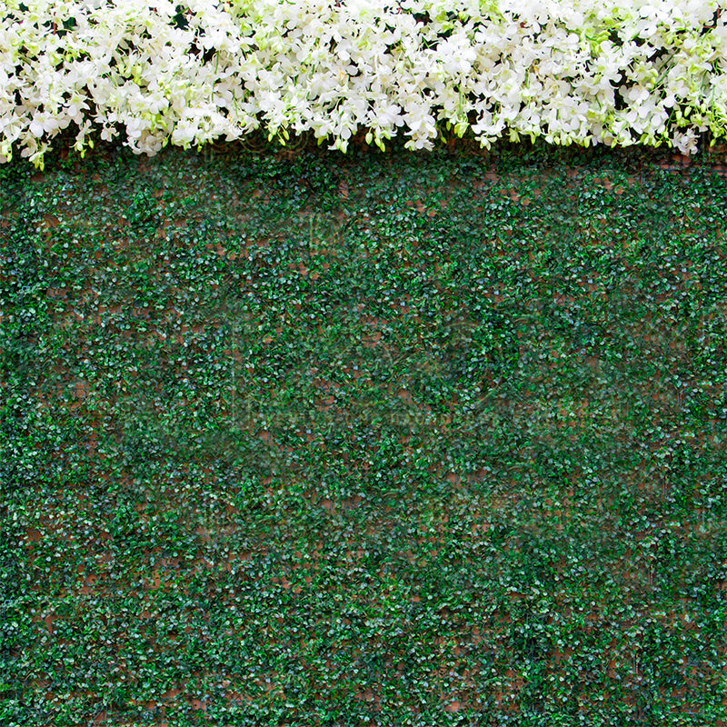 premium one pillowcover backdrops-hedgewood wall with flower